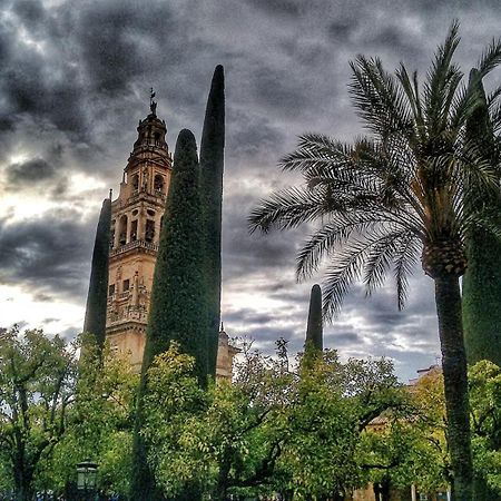 Rosmarinus Centro Lägenhet Córdoba Exteriör bild